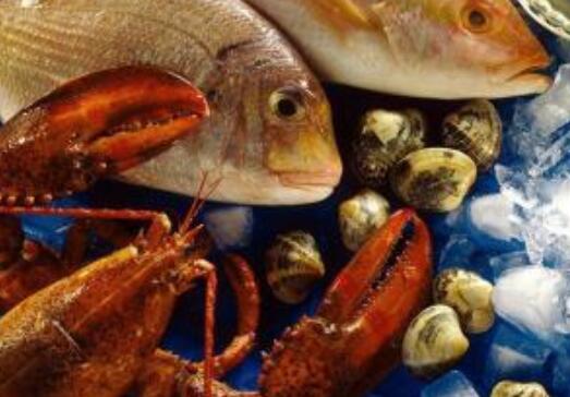 海鮮團(tuán)購(gòu)的哪些海鮮可以生吃