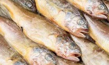 海鮮禮品當(dāng)戰(zhàn)的大黃魚(yú)和小黃魚(yú)有哪些區(qū)別