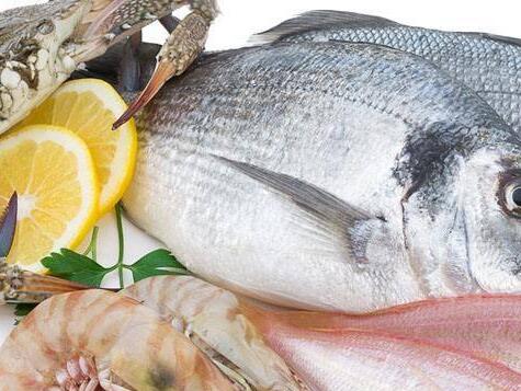 哪些人不能常吃海鮮呢？